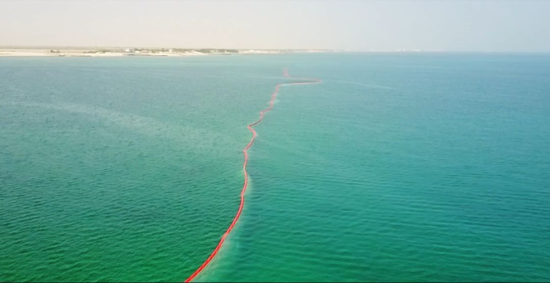 优德88·(中国区)官方网站