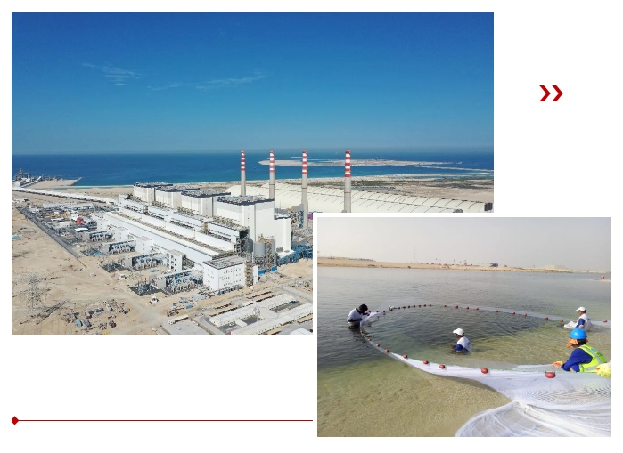 优德88·(中国区)官方网站