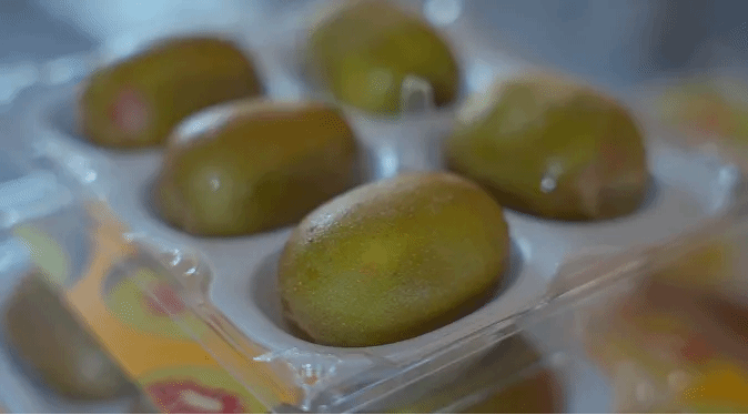 优德88·(中国区)官方网站