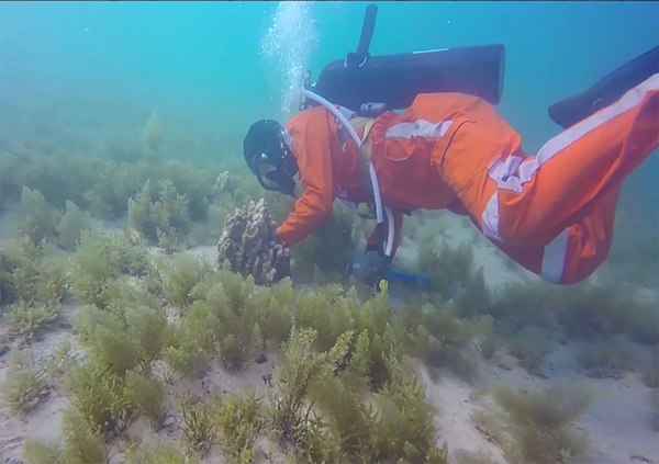 优德88·(中国区)官方网站