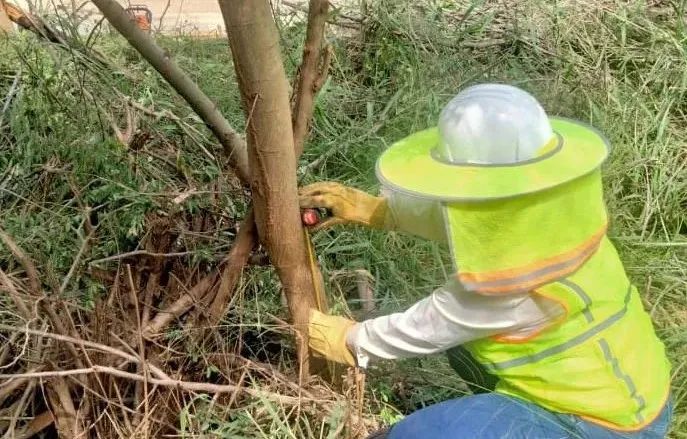 优德88·(中国区)官方网站