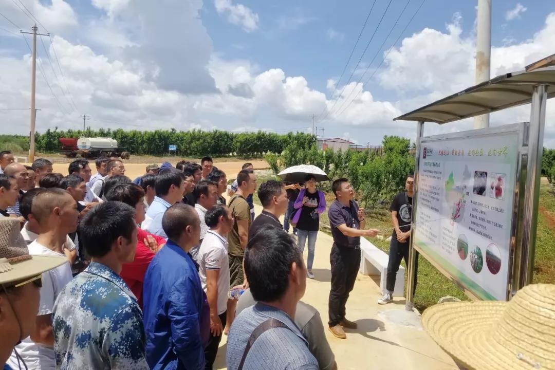 优德88·(中国区)官方网站